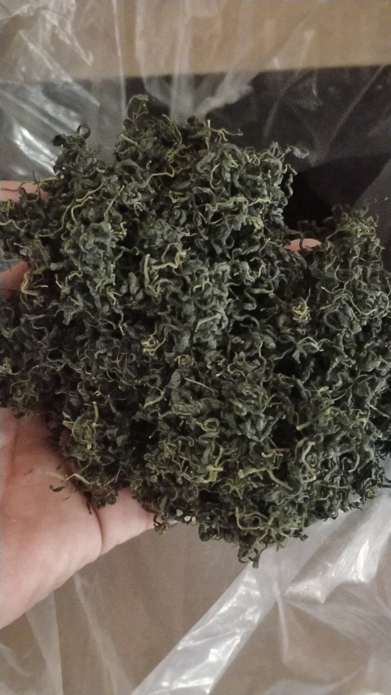 绞股蓝条形产地供应条形紧缩颜色翠绿无杂质