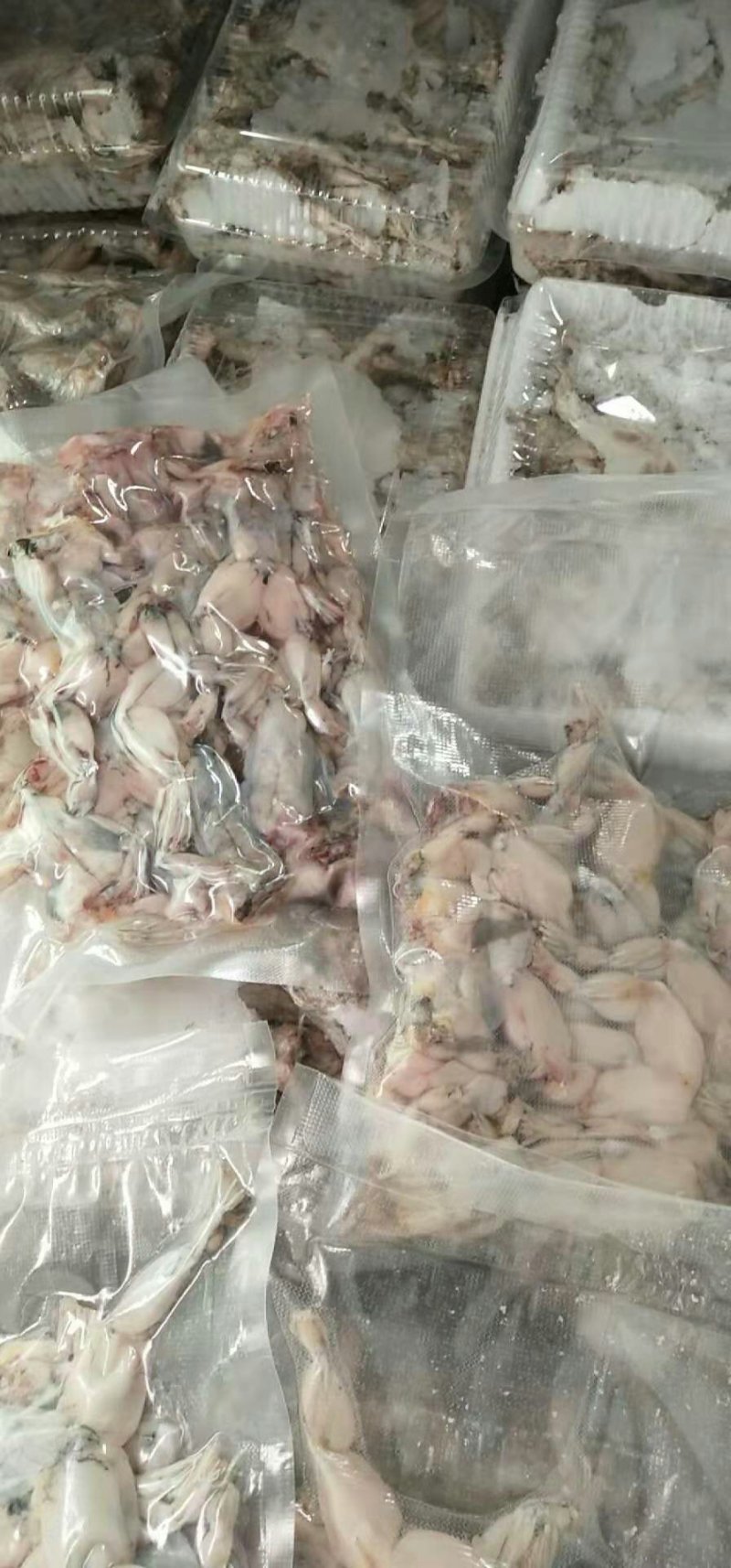 蛙肉一斤一袋。要的速度。支持批发零售！要的多价钱可以！