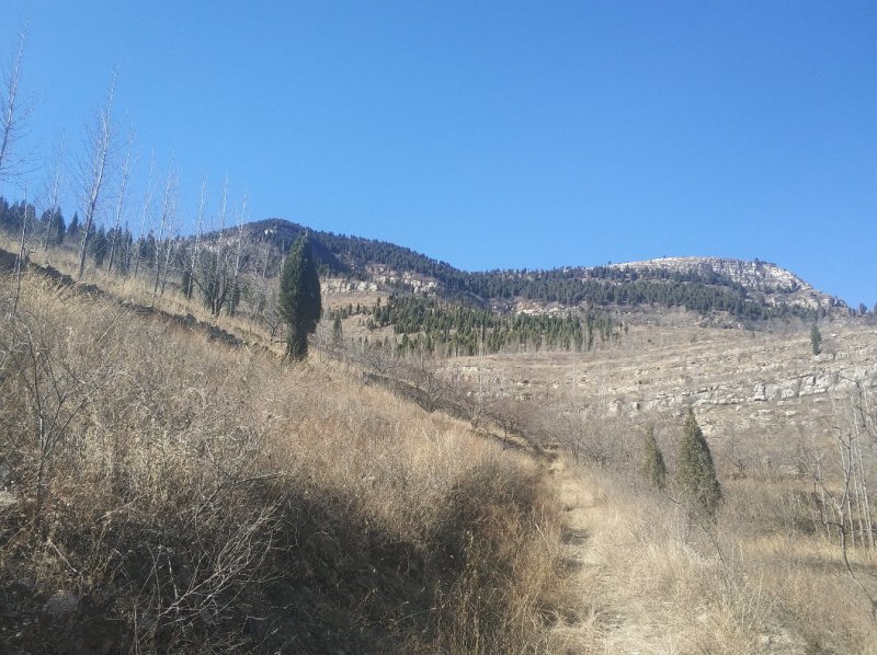供应山地
