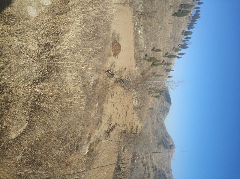 供应山地