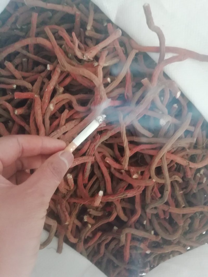 山东丹参中条含量好，货源充足！！！