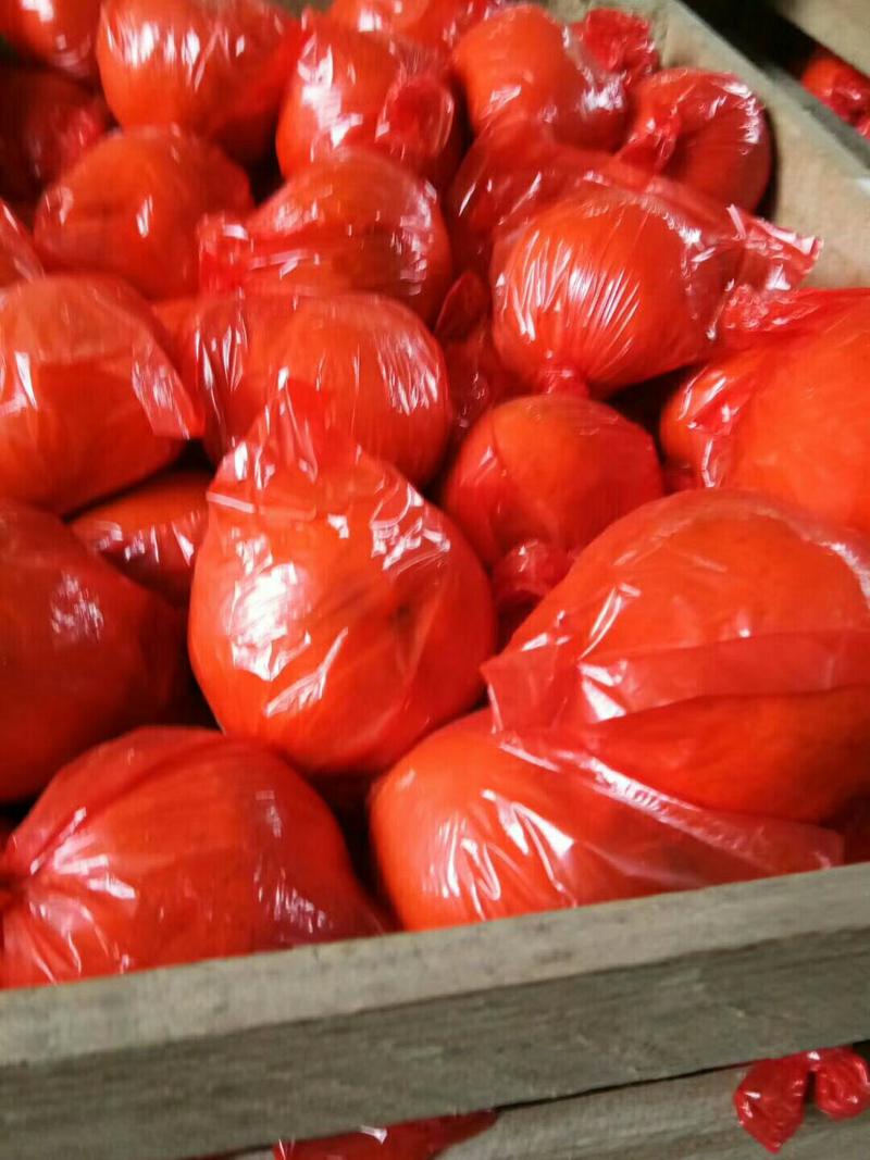 芦柑60通天红袋子精品袋子