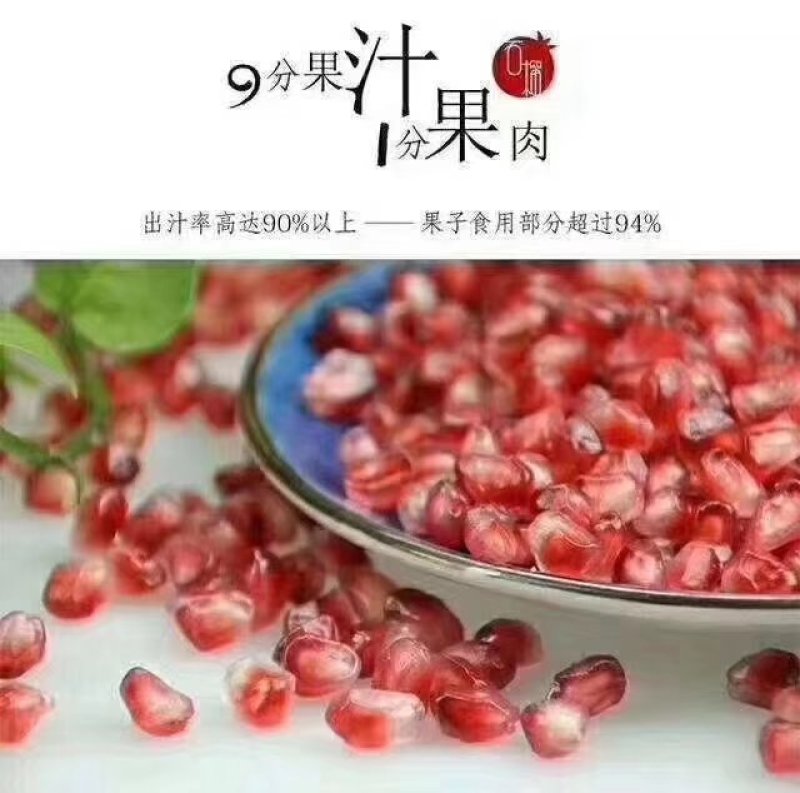 突尼斯软籽石榴树苗免费提供种植技术，石榴又大又甜又好