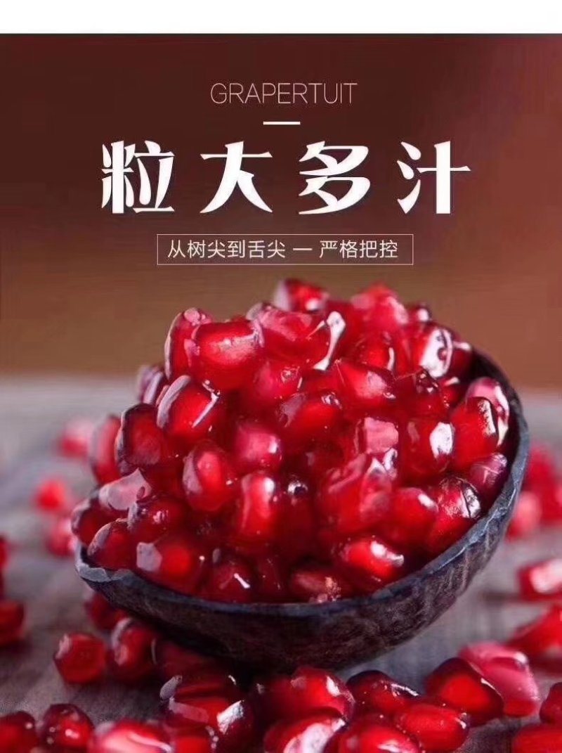 突尼斯软籽石榴树苗免费提供种植技术，石榴又大又甜又好