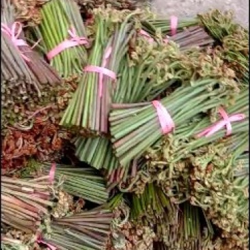 野菜特菜