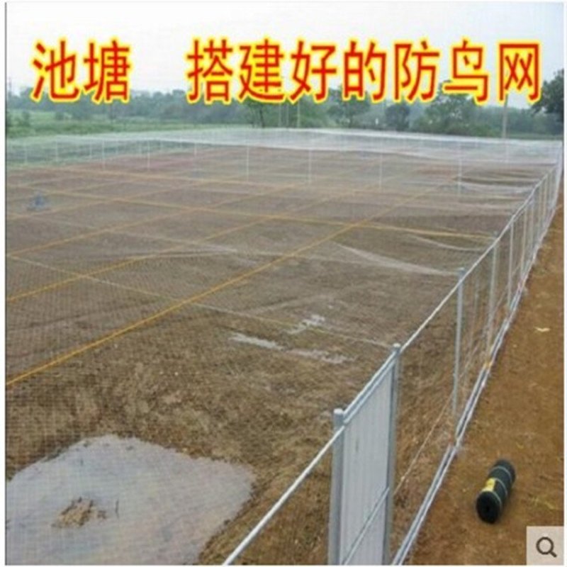 防鸟网聚乙烯尼龙果园果树葡萄园鱼池樱桃园防鸟用