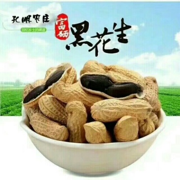 花生种子