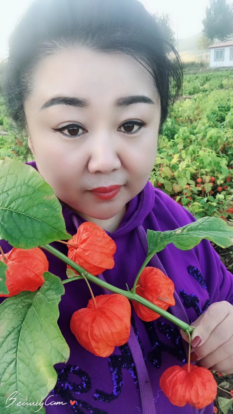 红菇娘根出售