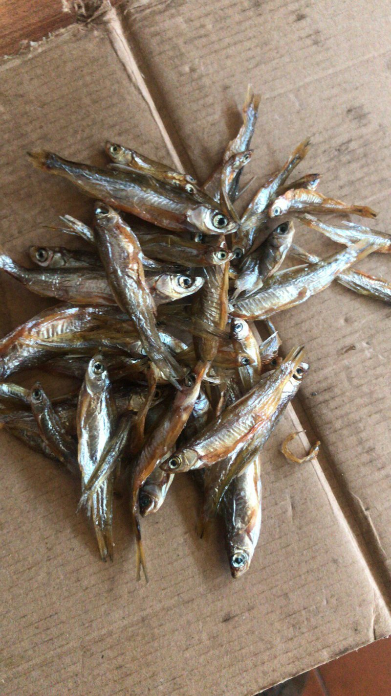 小鱼干无盐5-6cm