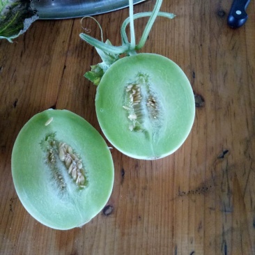 玉姑玉姑玉姑