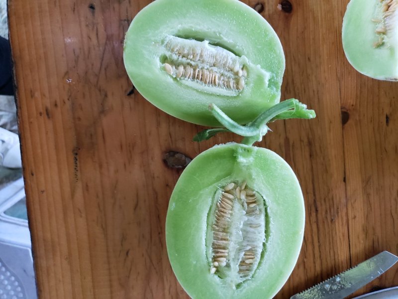 玉姑玉姑玉姑