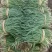 韭菜