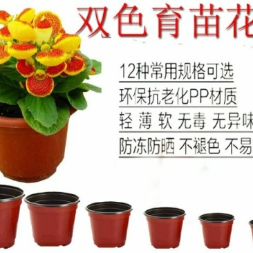花盆育苗盆双色盆育苗钵营养杯