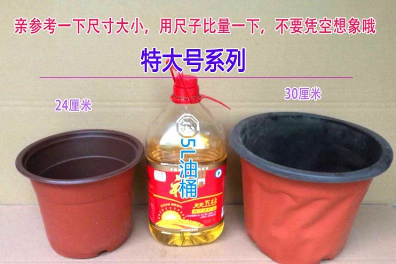 花盆育苗盆双色盆育苗钵营养杯