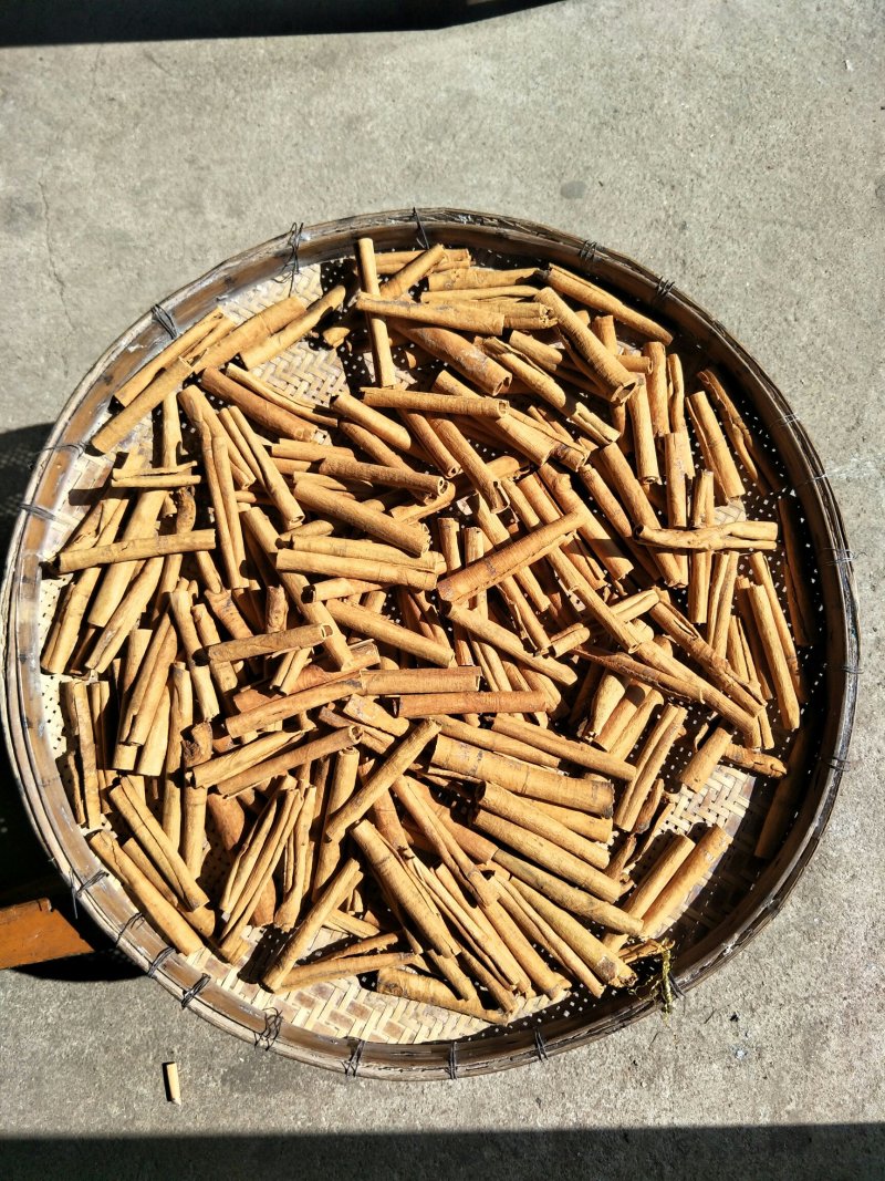 烟桂皮