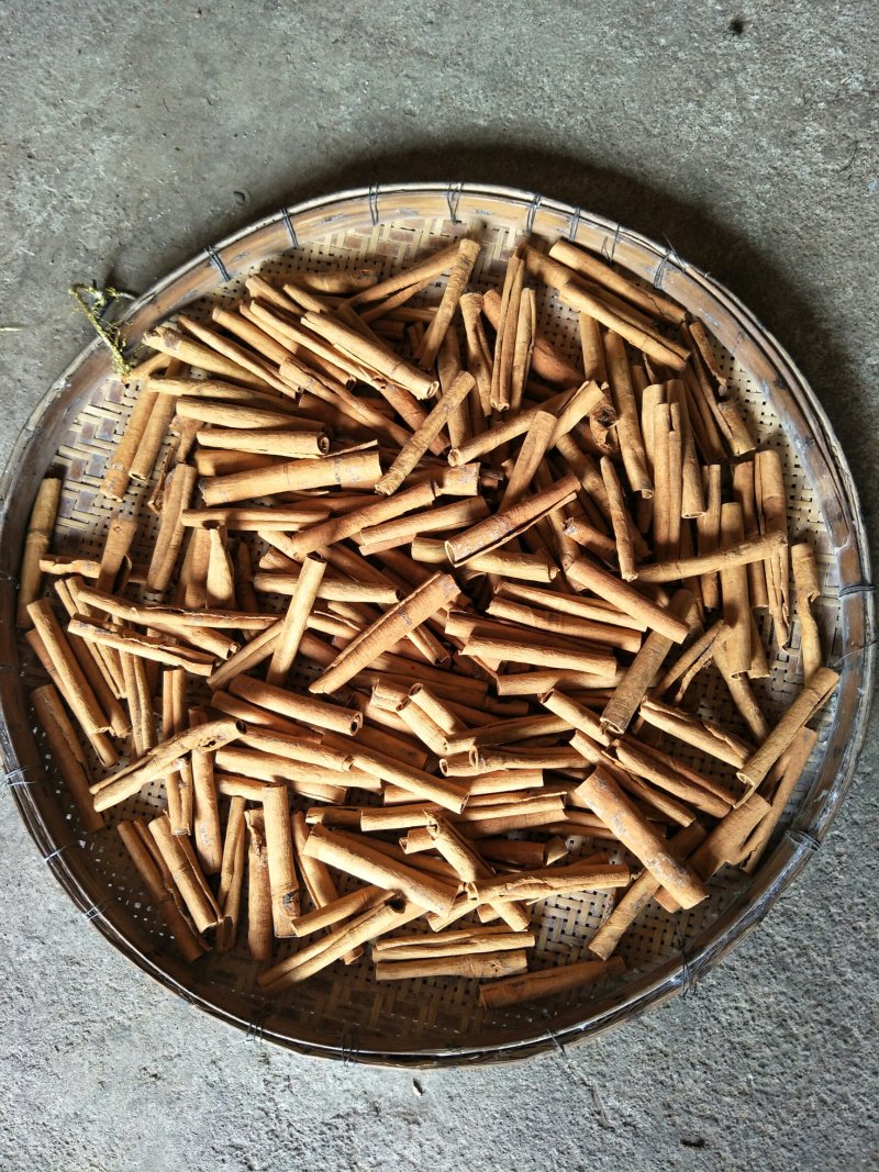 烟桂皮
