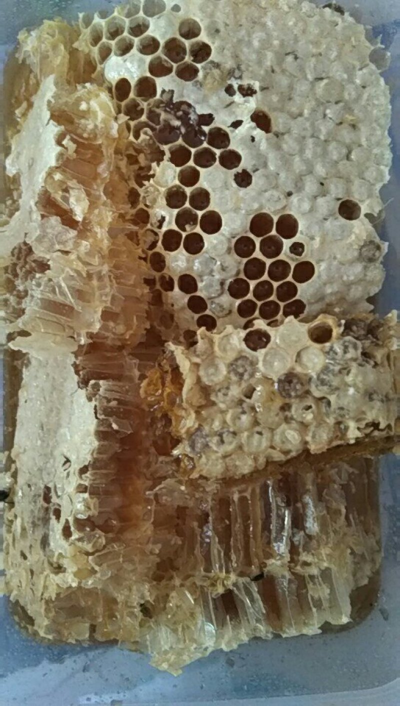 蜂蜜