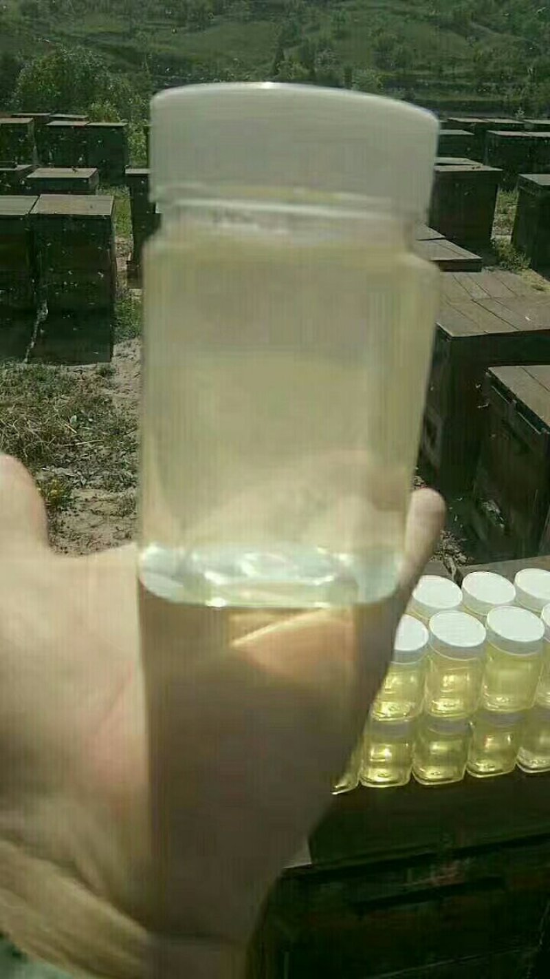 蜂蜜