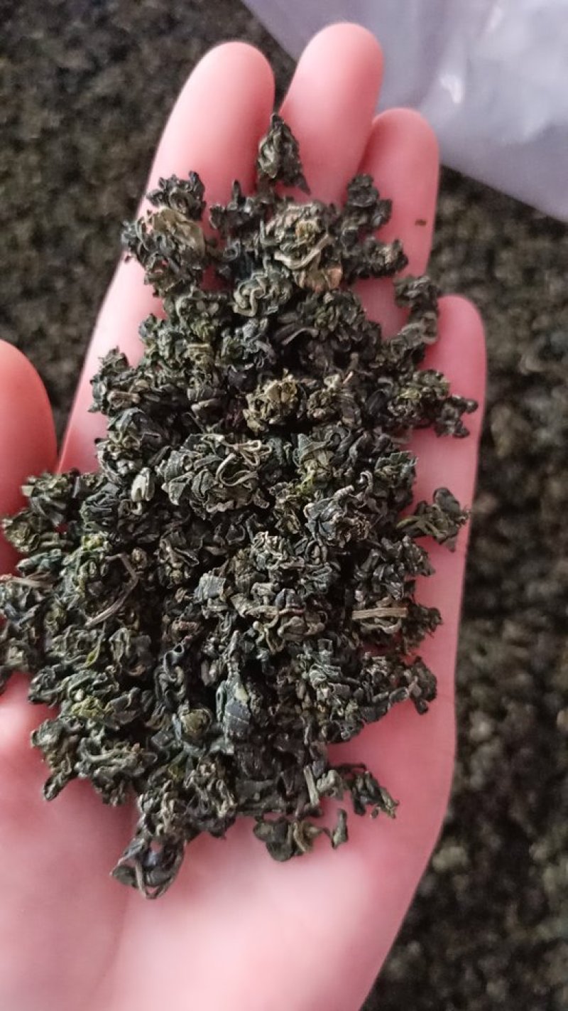 枸杞芽茶
