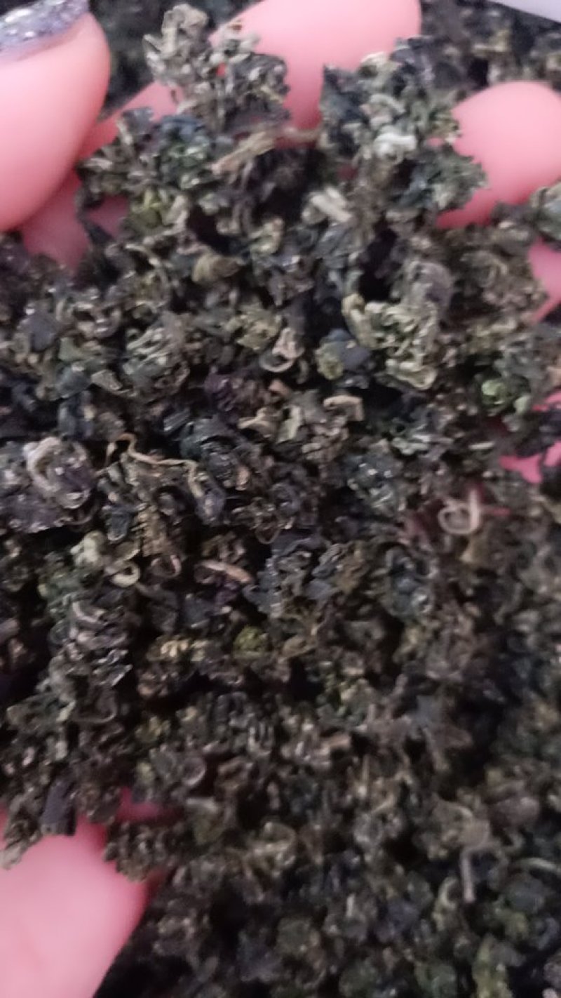 枸杞芽茶