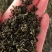 枸杞芽茶
