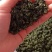 枸杞芽茶