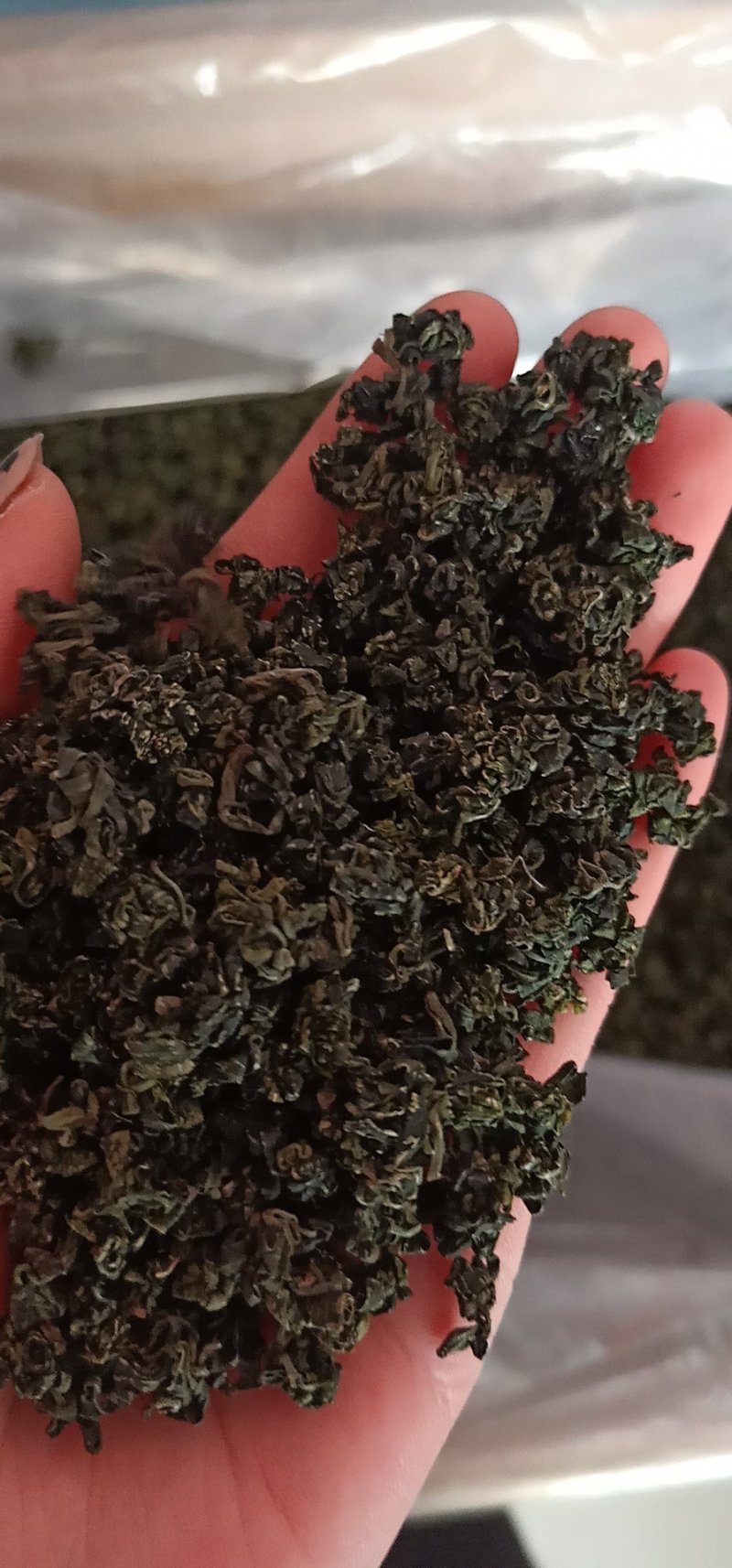 枸杞芽茶