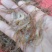 河虾。。小黄鱼