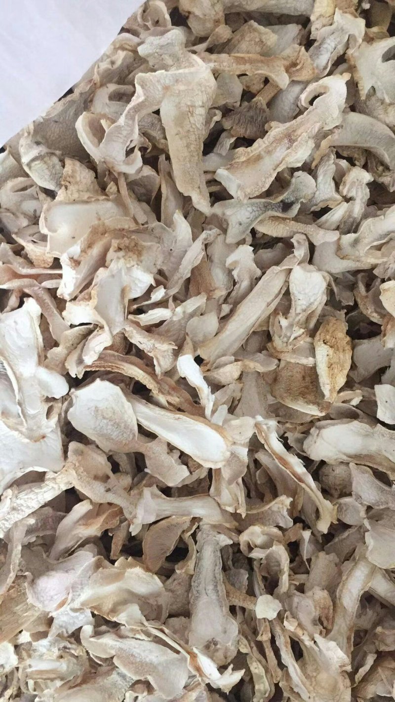 球盖菇干品全国批发零售