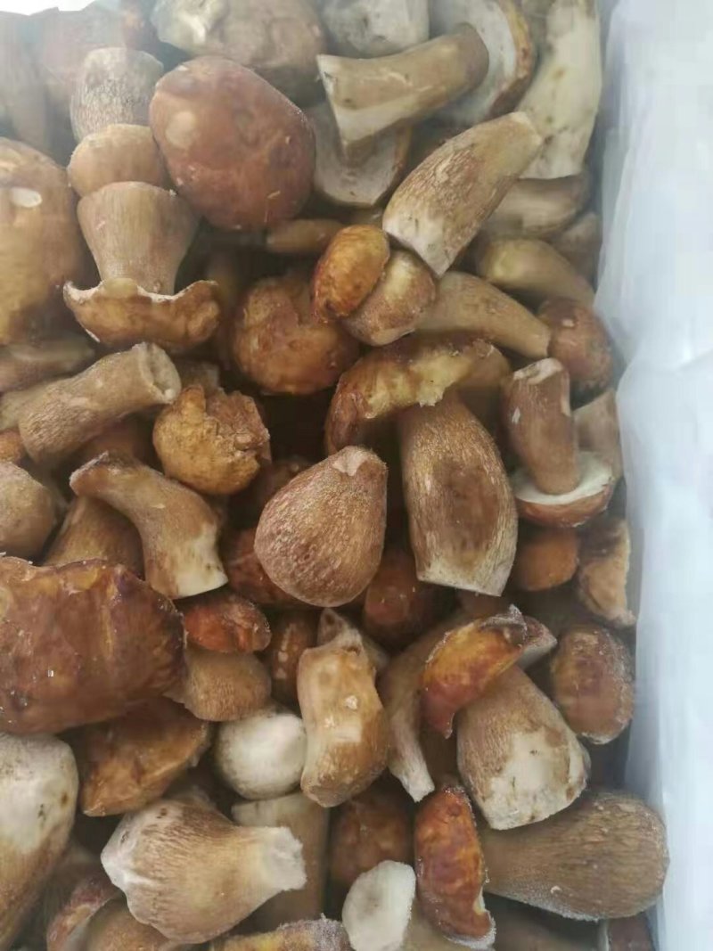 美味牛肝菌冻品全国批发零售