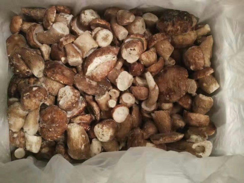美味牛肝菌冻品全国批发零售