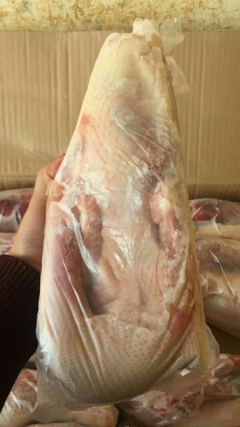 鹅体