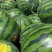 五一大量甜王西瓜🍉震撼上市