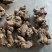 白术芽、白术子、丹参苗、知母苗、菊花苗、白芍芽、