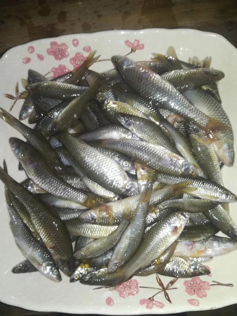 麦穂鱼干鱼80穂元1斤