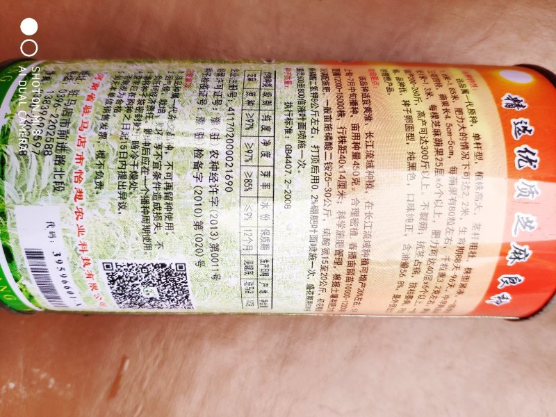 黒芝一号芝麻种子，高产抗病