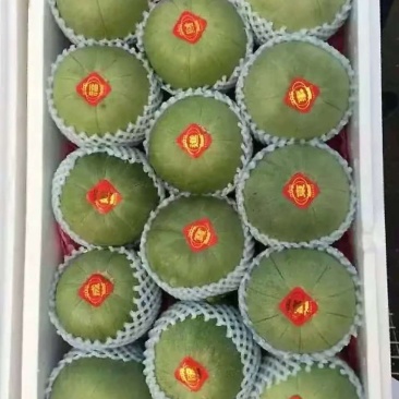 绿皮小甜瓜绿宝石甜瓜