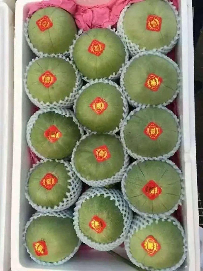 绿皮小甜瓜绿宝石甜瓜