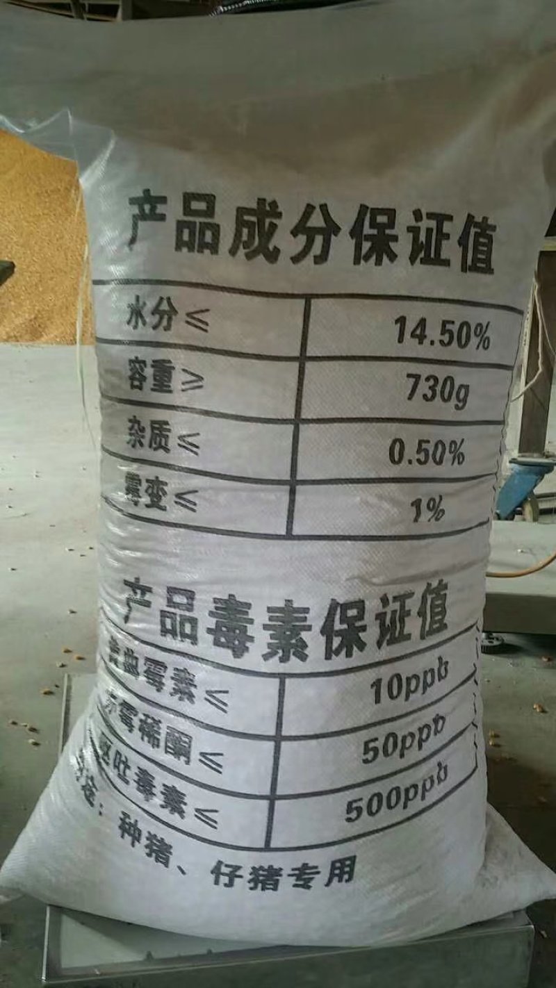 玉囤一号饲料用玉米，常年保证货源，保证玉米各项指标合格