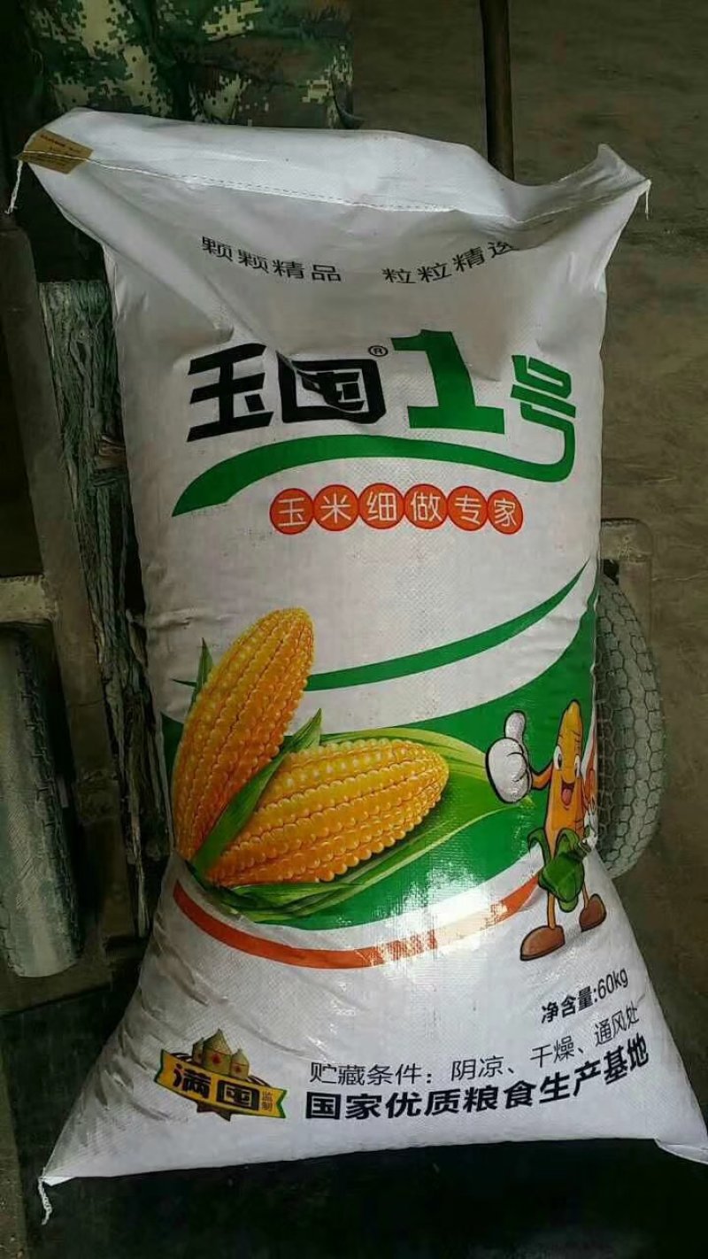 玉囤一号饲料用玉米，常年保证货源，保证玉米各项指标合格