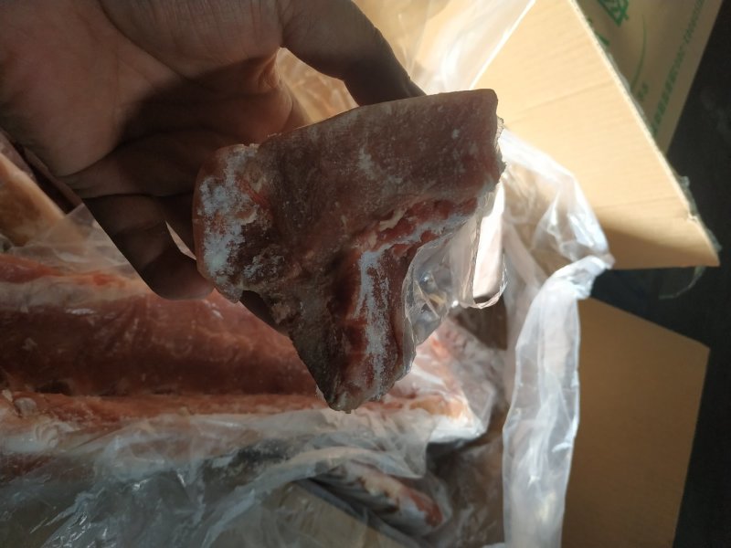 龙骨