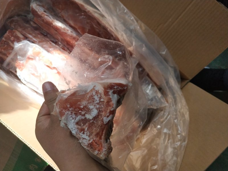 龙骨