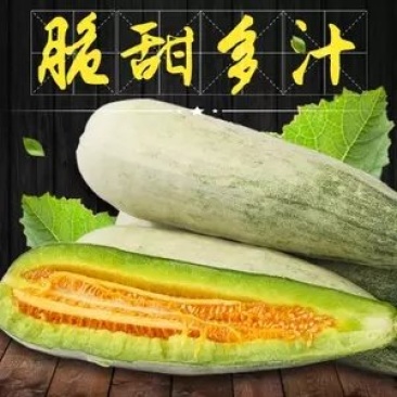 羊角蜜甜瓜，脆甜，保证价格真实，无任何费用