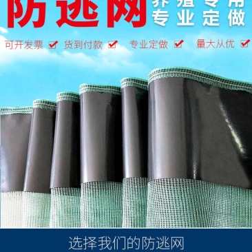 防逃网