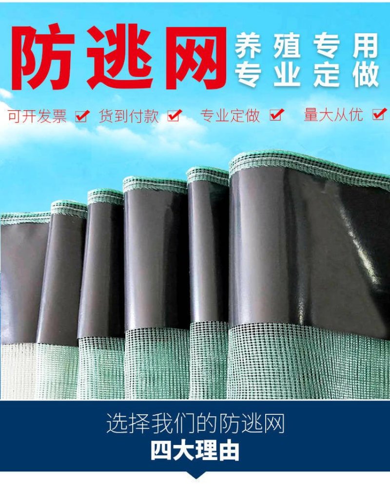 防逃网