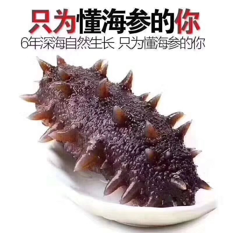 商超酒店直供精品高刺即食速冻海参5-20头不挂冰衣