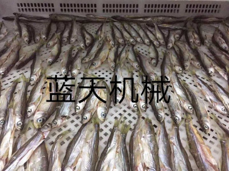 鱼干烘干机鱼虾烘干机鸭肉鸡肉烘干机猪皮猪肉烘干机