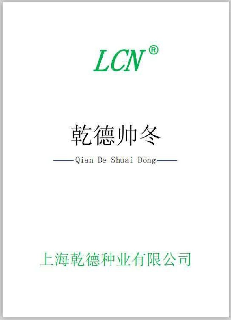 绿皮小冬瓜种子乾德帅冬早熟、口感冬瓜，春秋栽培