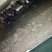 白玉蜗牛