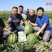 高品质西瓜种子红翻天大果中熟品种大红瓤包邮花皮红心甜